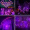 2 Pack Total 80FT 240LED Solar Fairy Lights,Orange Purple Halloween Solar String Lights